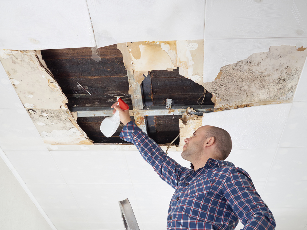 man cleaning mold on ceiling.